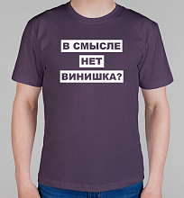 Мужская футболка В смысле нет винишка?