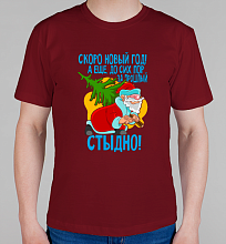 Мужская футболка За прошлый новый год стыдно!