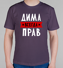 Мужская футболка Дима всегда прав