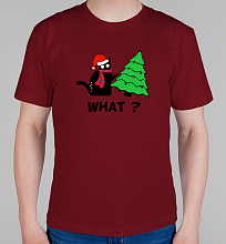Мужская футболка What кот (новый год)